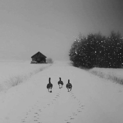 Эмиль Еникеев, 15.04, Уфа