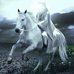 Zalkar Zhakypbekov, 19.05, Бишкек