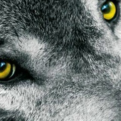 Александр Пулькин, 07.07, Ленинка