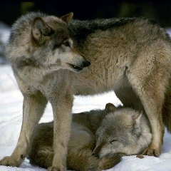 Талгат Каракете, 20.05.1988