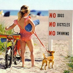 Bakhitgul Kodar, 24.12