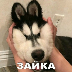 Леонид Цупило, Санкт-Петербург