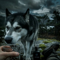 Александр Музыченко, 16.04, Петрозаводск