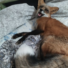 Андрей Погодин, 14.02, Санкт-Петербург