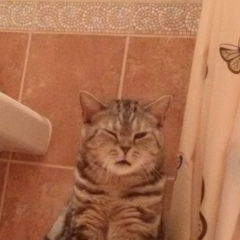 Дмитрий Валерьевич, 17.06