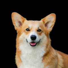 Анна Япрынцева, 30.10, Саратов