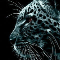 Almat Duisenov, Алматы