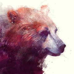 Эдуард Адам, 26.08, Bühl