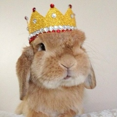 Настя Елфимова, 24.05, Санкт-Петербург