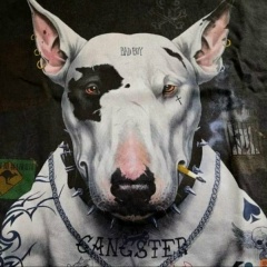 Александр Ильчик, 17.12.1978, Ноябрьск