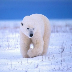 Женя Панченко, 24.03.1989