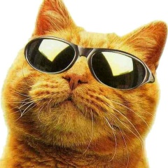 Олег Базанов, 28.07.1973, Москва