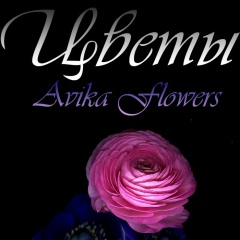 Катя Микич, Долгопрудный