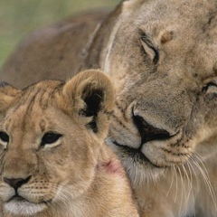 Татьяна Лещенко, 25.07, Москва