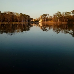 Андрей Червяков, 01.09.1982, Одинцово