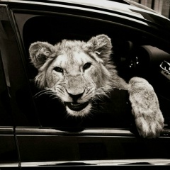 Магомед Кентаев, Грозный