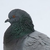 Ксюша Южанинова, 16.04, Горно-Алтайск