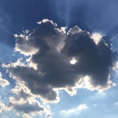 Анна , 21.08, Москва