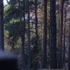 Роман Подлевский, 26.03, Бишкек