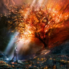 Евгений Михеев, 02.11, Москва