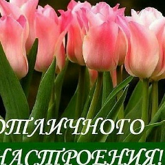 Ботагоз Омиржанова, Тараз