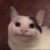 Жанибек Жексенов, 04.11.1994