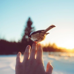 Маржан Сейдуллаева, 20.04.1992, Шымкент