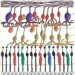 Агриппина Смоленская, 14.07, Санкт-Петербург