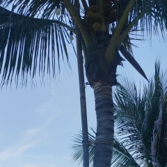 Виктория Белихова, 24.09.1991, Москва