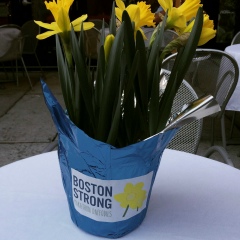 Катя Николаева, 01.08, New York City