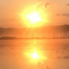 Алексей Бровкин, 18.06.1986, Москва