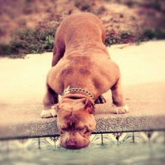 Alexey Smirnov, 09.06.1990, Санкт-Петербург