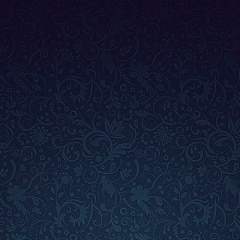 Рустам Александров, Санкт-Петербург