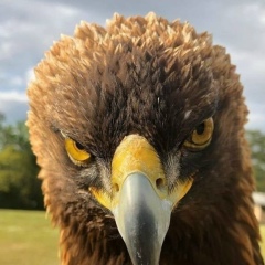 Тома Ардавова, 13.02.1991, Нальчик