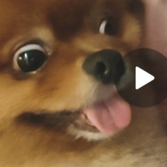 Галина Истерика