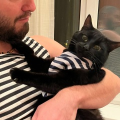 Сергей Небогаткин, Москва