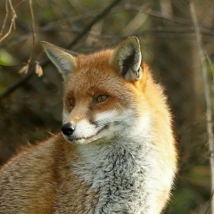 Марина Зайцева, 03.11, Санкт-Петербург