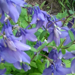 Элла Лебедева, 23.02.1970, Саянск