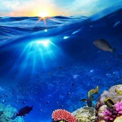 Снежана Рабиевская, Норильск