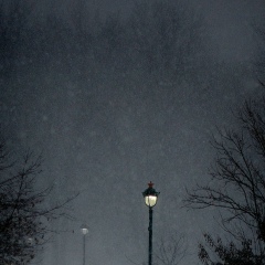 Ахмед Белхороев, 02.07.1987, Уфа