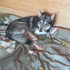 Наталья Колесник, 21.07.1968, Санкт-Петербург