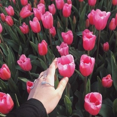 Perizat Aripzhanova, 22.06