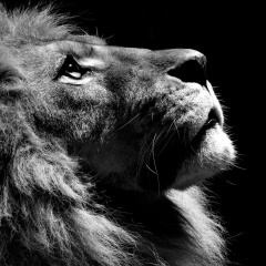 Елена Соколова, 02.08, Красноярск