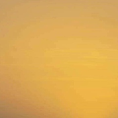 Meziane Yassa, 18.06, Lyon