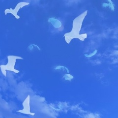 Саша Грабовский, 12.10, Киев