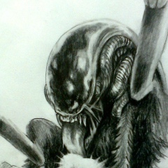 Иван Коваленко, 28.11.1988