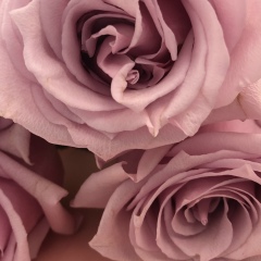 Жанеля Атабаева, Алматы