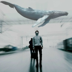 Алина Вернер, New York City