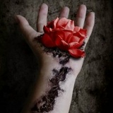 Максим Новиков, 20.03.1984, Донецк