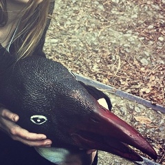 Лена Самойленко, 01.03.1985